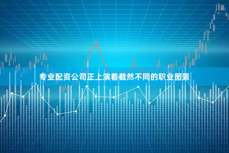 专业配资公司正上演着截然不同的职业图景