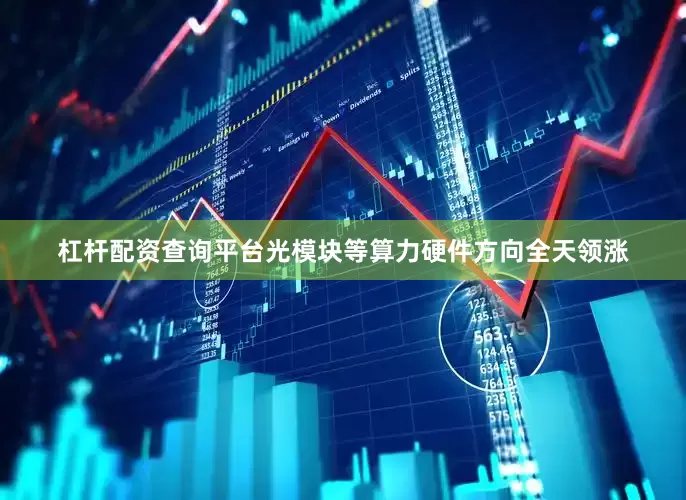 杠杆配资查询平台光模块等算力硬件方向全天领涨