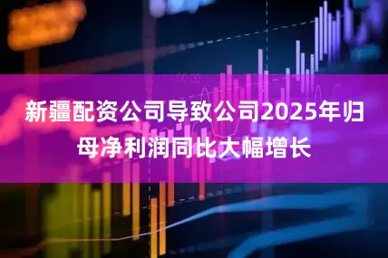 新疆配资公司导致公司2025年归母净利润同比大幅增长